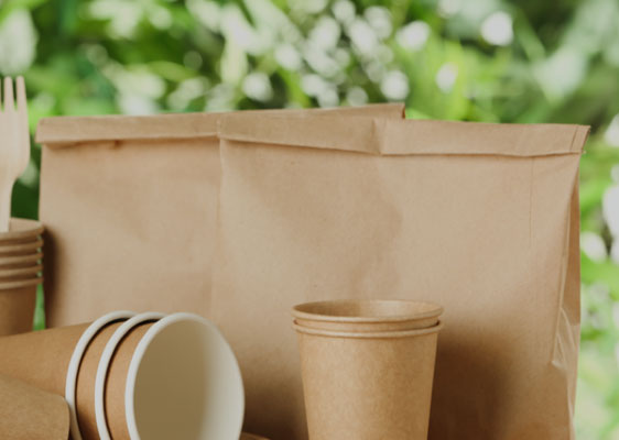 Pulp, Paper & Packaging